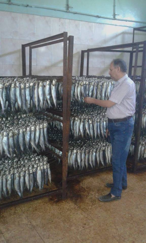 إعدام 476 كيلو مواد غذائية في حملة مكبرة بالشرقية 2 إعدام 476 كيلو مواد غذائية في حملة مكبرة بالشرقية 2
