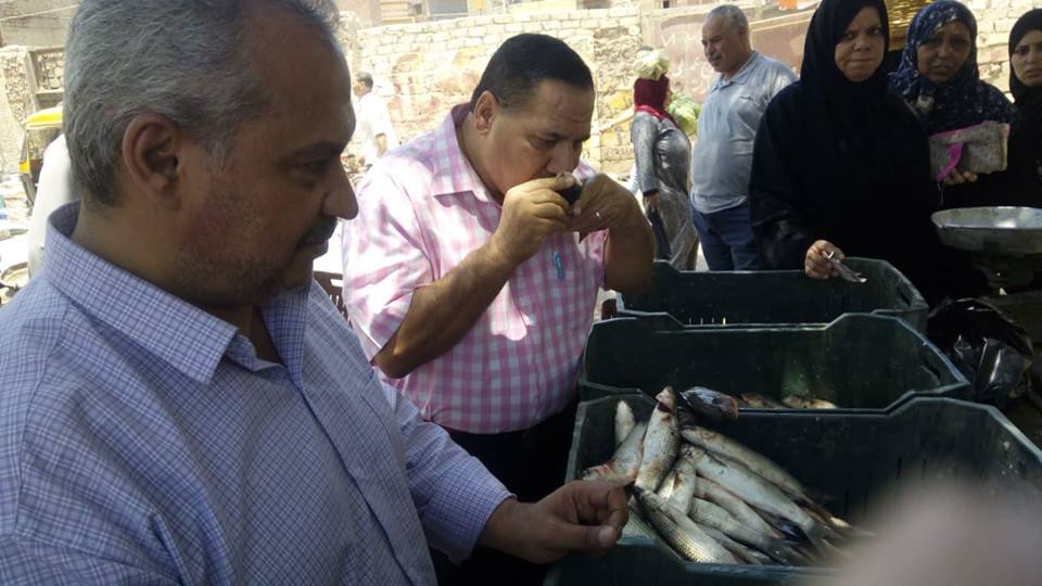 إعدام 476 كيلو مواد غذائية في حملة مكبرة بالشرقية 9 إعدام 476 كيلو مواد غذائية في حملة مكبرة بالشرقية 7