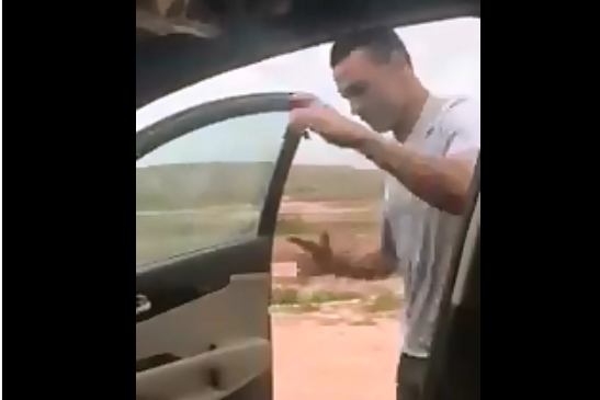 عصام الحضري ينضم لتحدي كيكي 1 الحضري