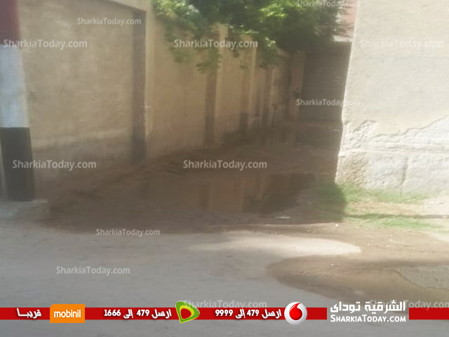 تراكم مياه الصرف الصحي بمحيط استراحة رئيس مدينة أبوحماد 3 تراكم مياه الصرف الصحي بمحيط استراحة رئيس مدينة أبوحماد