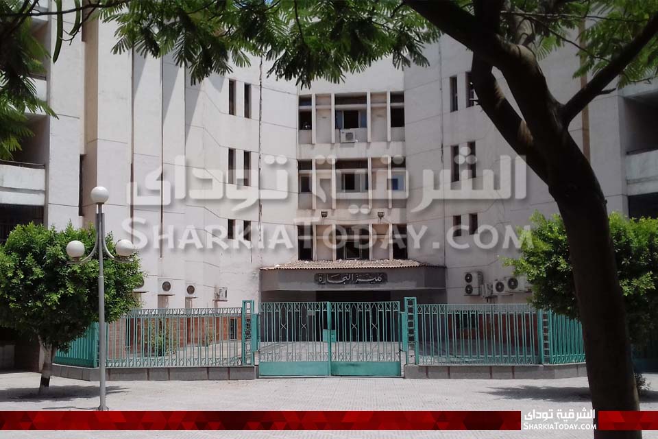 كلية التجارة جامعة الزقازيق