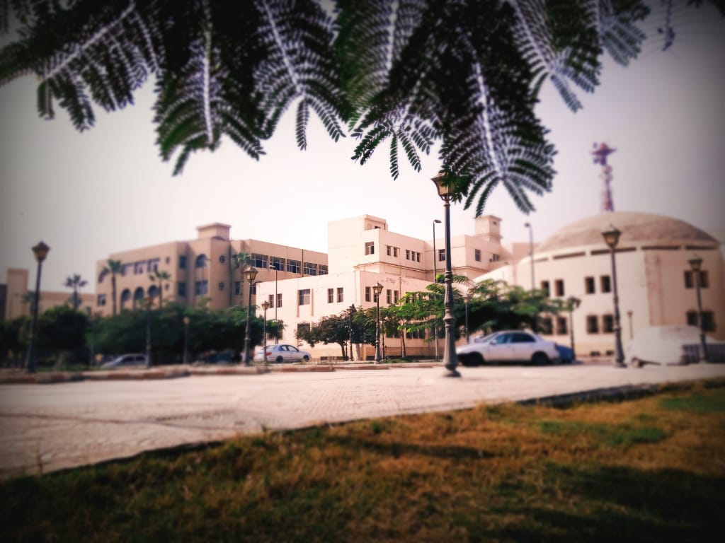 كلية الزراعة جامعة الزقازيق