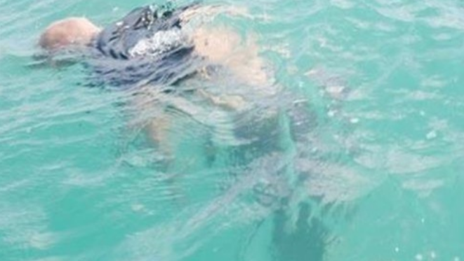 أرشيفية 2