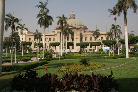 جامعات مصرية
