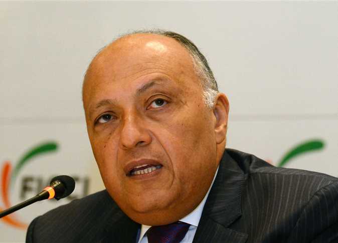 مصر على الإفراج عن محمد محسوب في إيطاليا