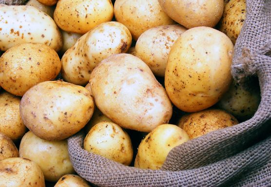 الزراعة كيلو البطاطس بـ5 جنيهات خلال أيام