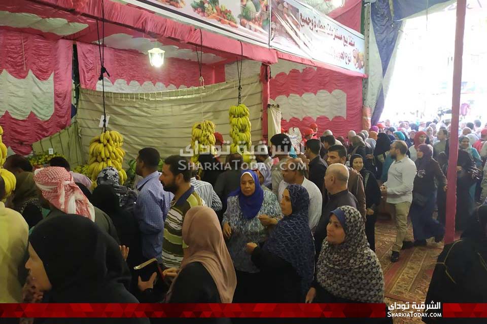 محافظ الشرقية يفتتح معرض بيع الخضار والفاكهة واللحوم البلدي بأسعار مخفضة في الزقازيق244