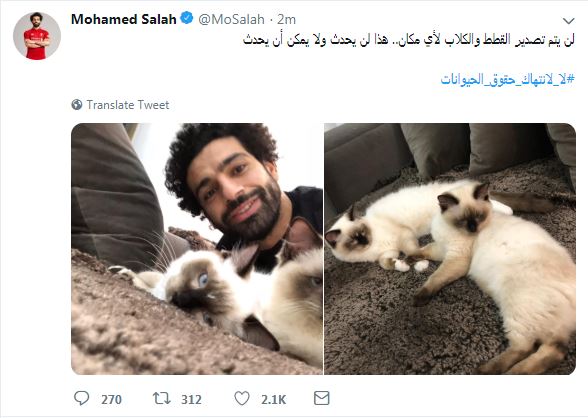 محمد صلاح يعلق على تصدير الكلاب والقطط من مصر