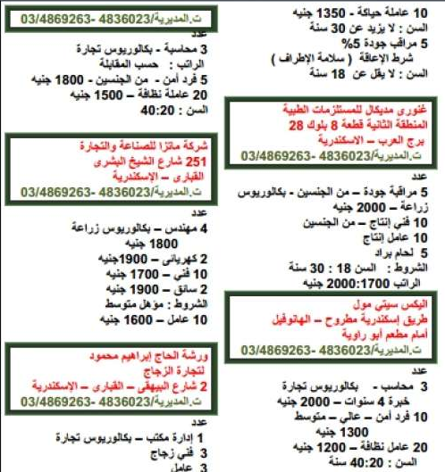 القوى العاملة تعلن توافر 4 آلاف وظيفة شاغرة برواتب تصل لـ4 آلاف جنيه 9 iyu