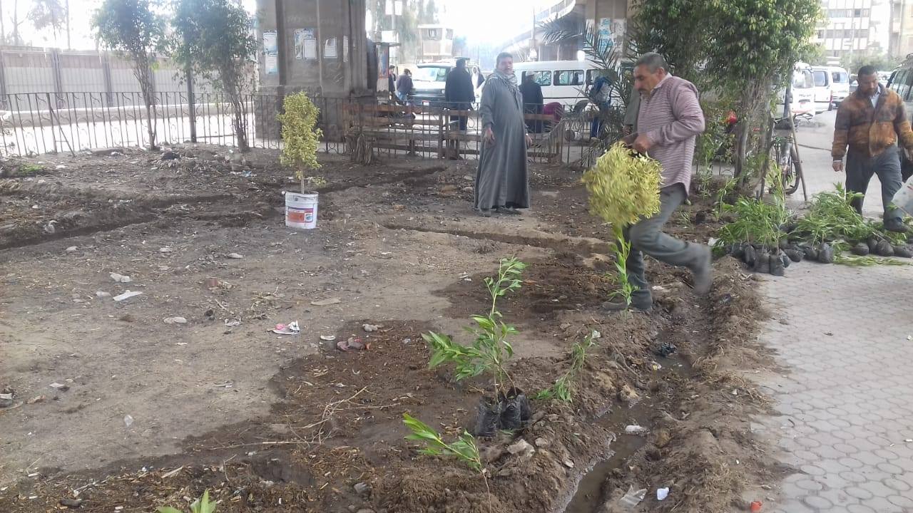 حملات نظافة بشوارع الزقازيق وزراعة الأشجار ببعض المناطق 1 حملات نظافة بشوارع الزقازيق وزراعة الأشجار ببعض المناطق