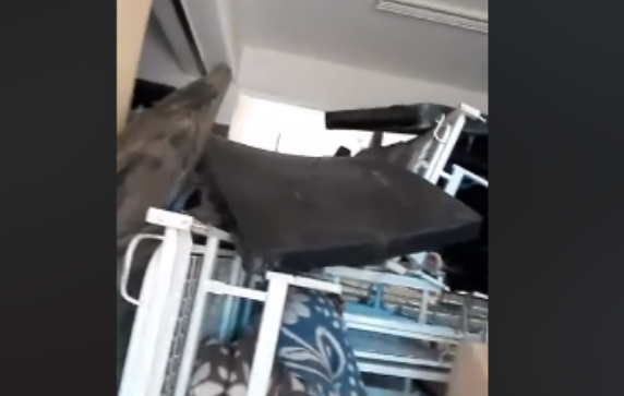 Capture 1