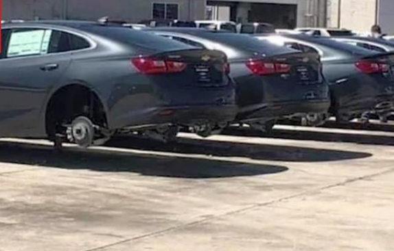 fg