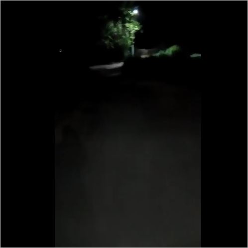 الب