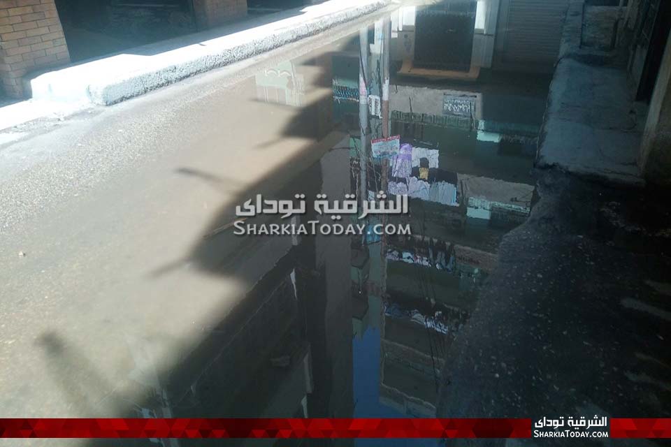 الشرقية