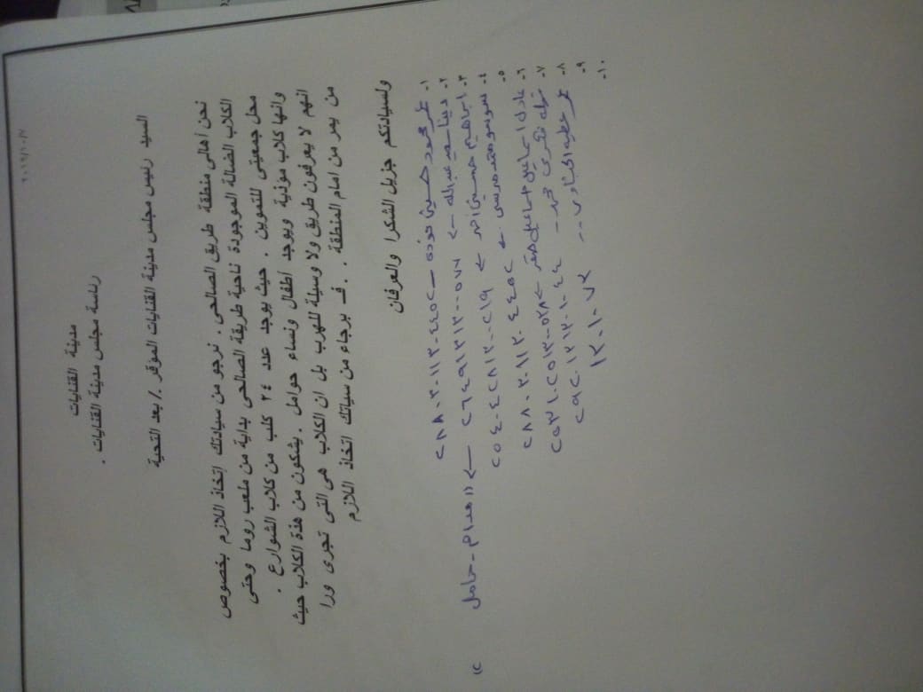 الكلاب الضالة بالقنايات تثير غضب الأهالي واستغاثة برئيس المدينة 3 القنايات