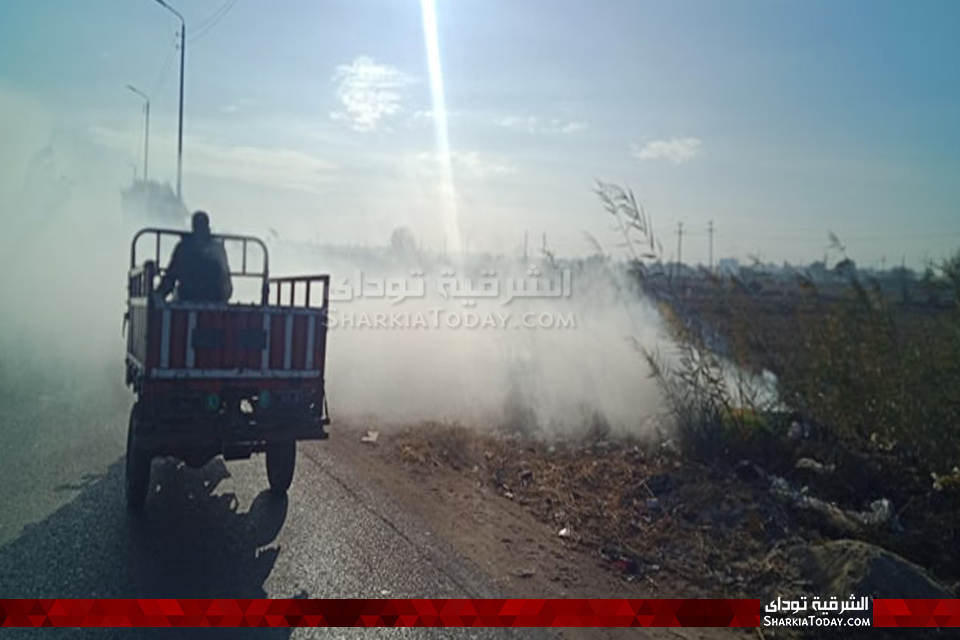 حريق قش الأرز بطريق أبوحماد الزقازيق