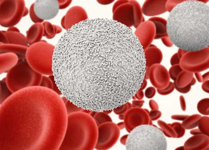 خلايا الدم الليمفاوية