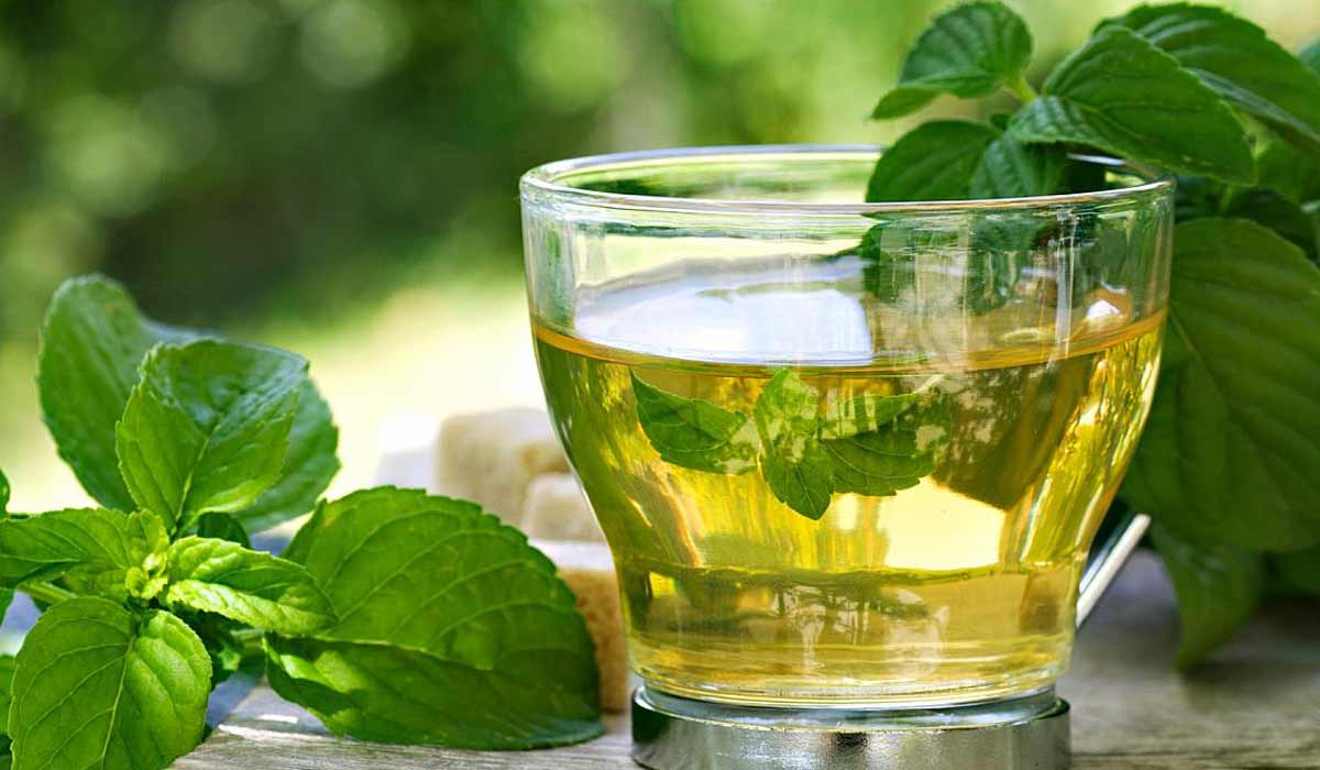 فوائد منقوع النعناع