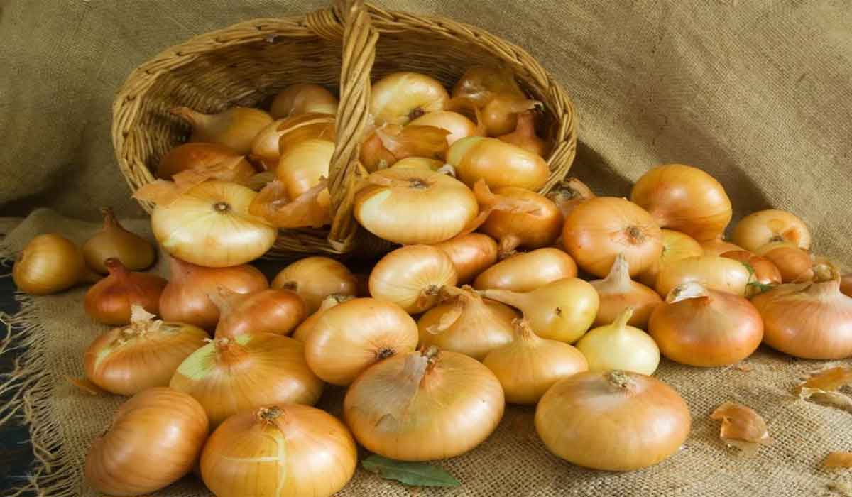 فوائد البصل العلاجية