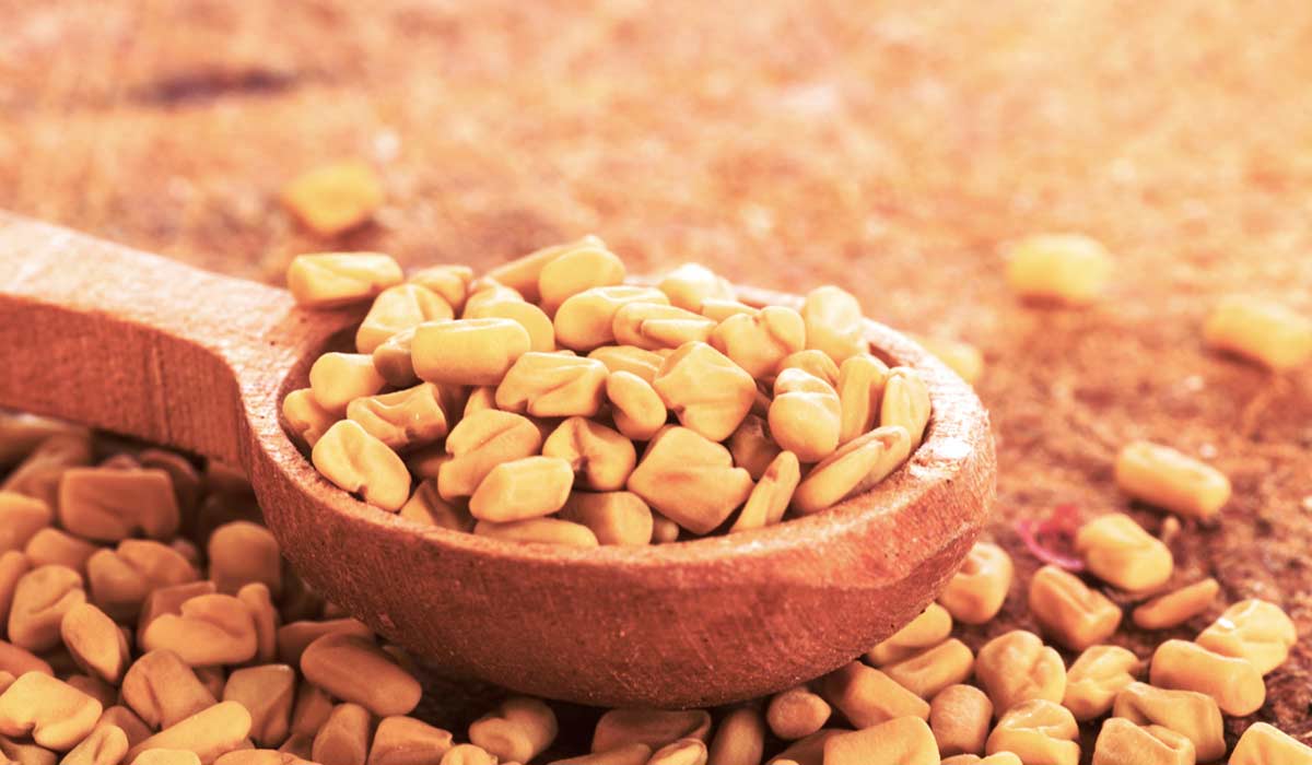 فوائد الحلبة للسمنة
