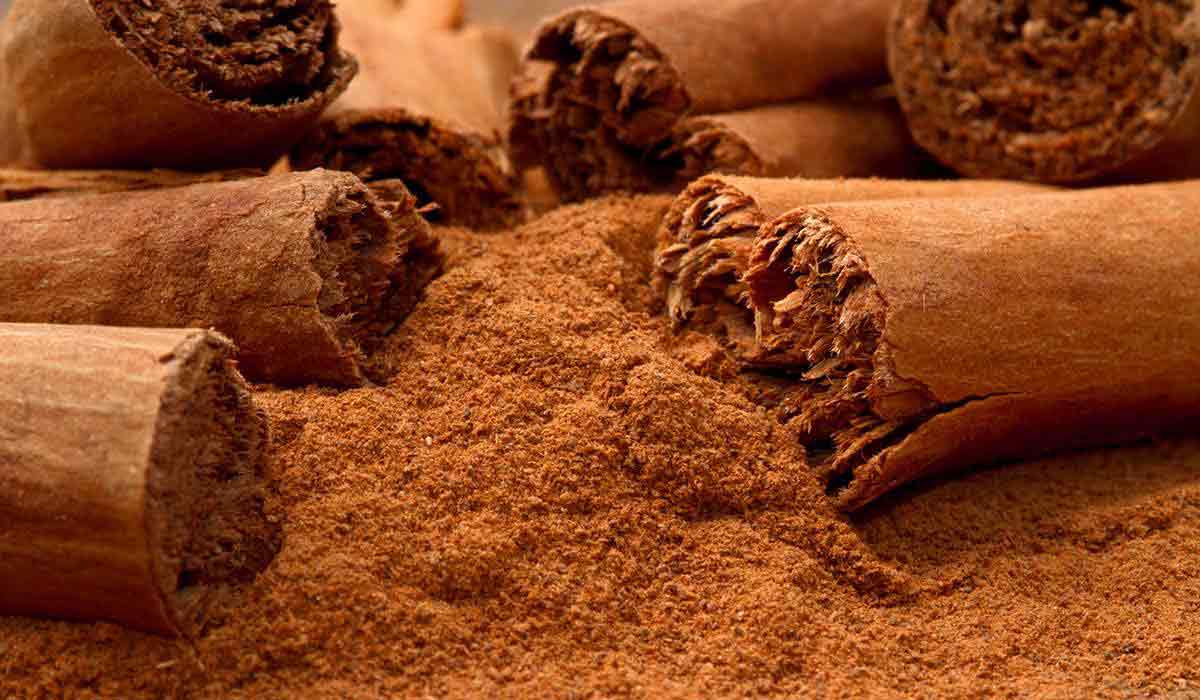 فوائد شرب الدارسين 3 فوائد شرب الدارسين