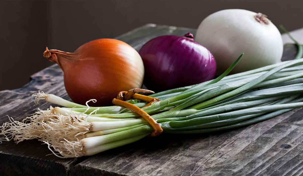 فوائد وأضرار البصل 4 فوائد وأضرار البصل