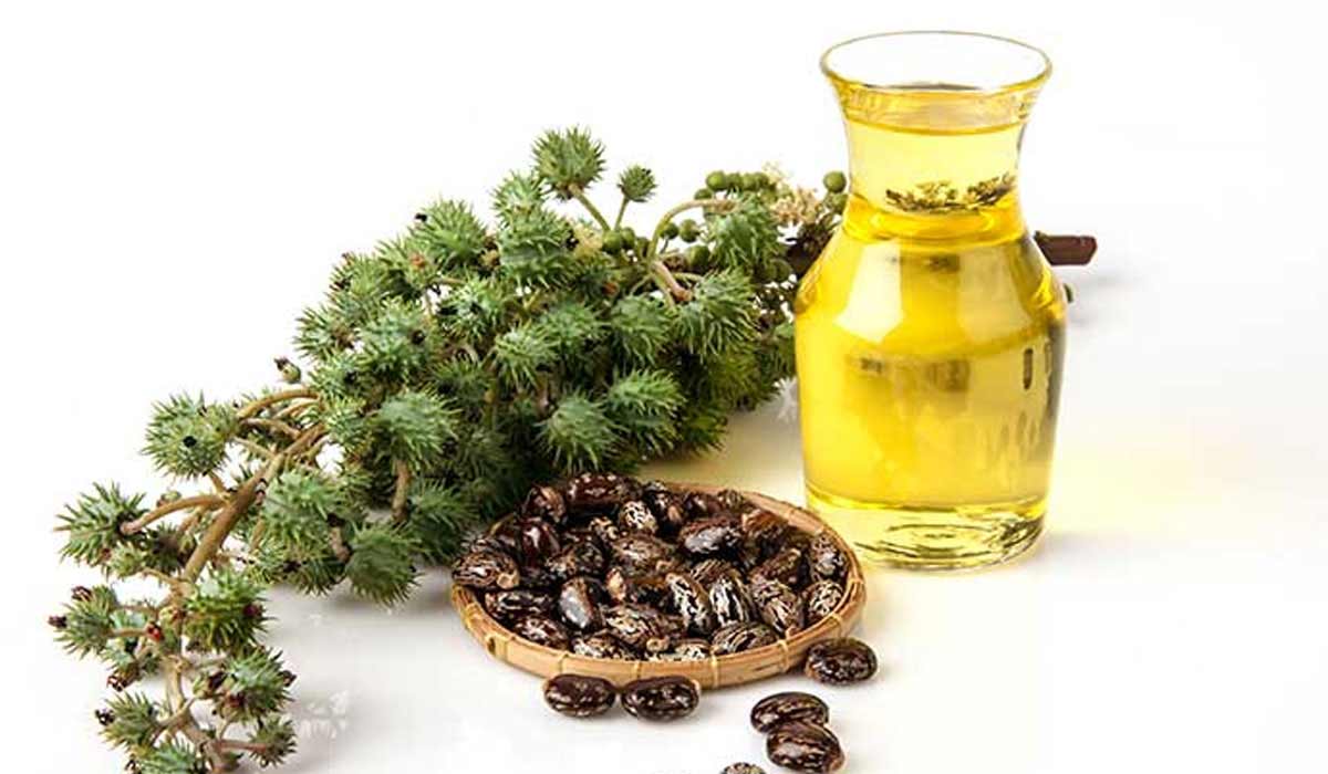 كيف أستخدم زيت الخروع للبطن ؟