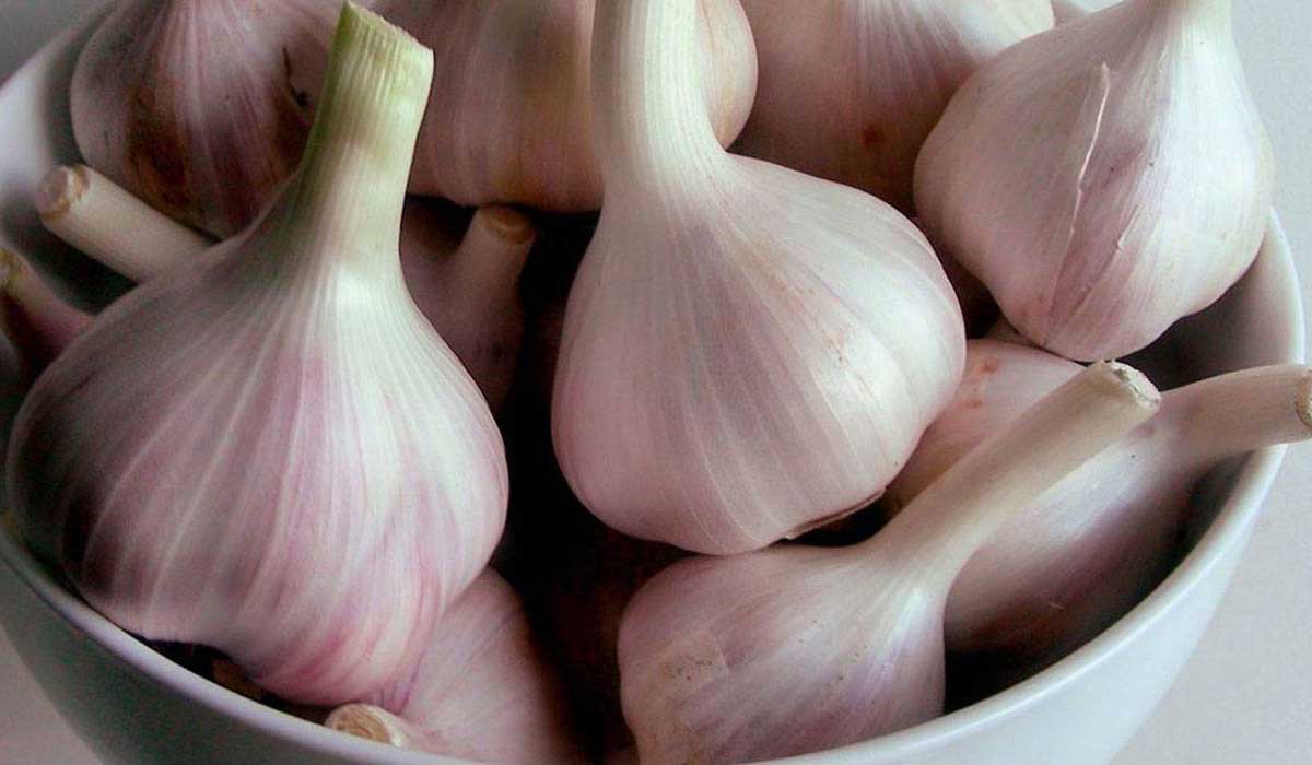 فوائدالثوم على الريق لتخسيس الكرش