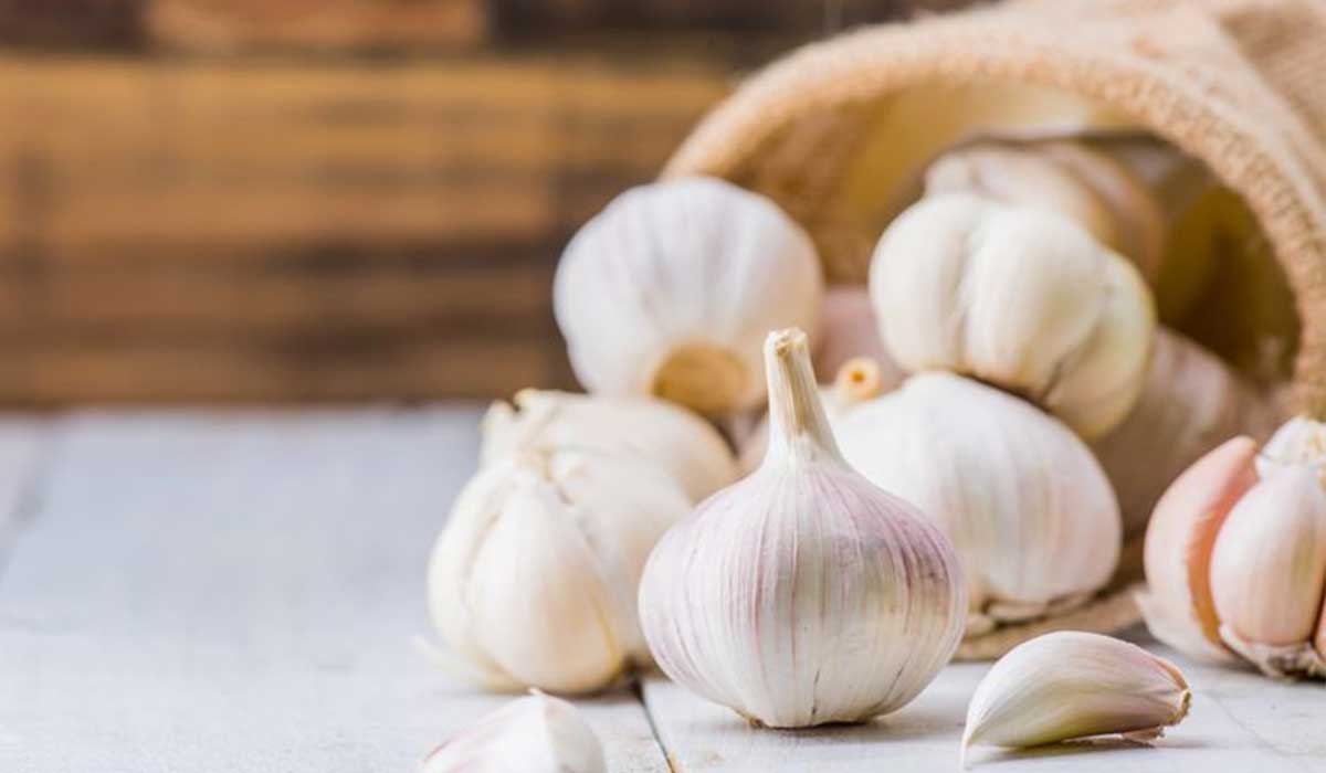 فوائد الثوم للصحة 6 فوائد الثوم للصحة