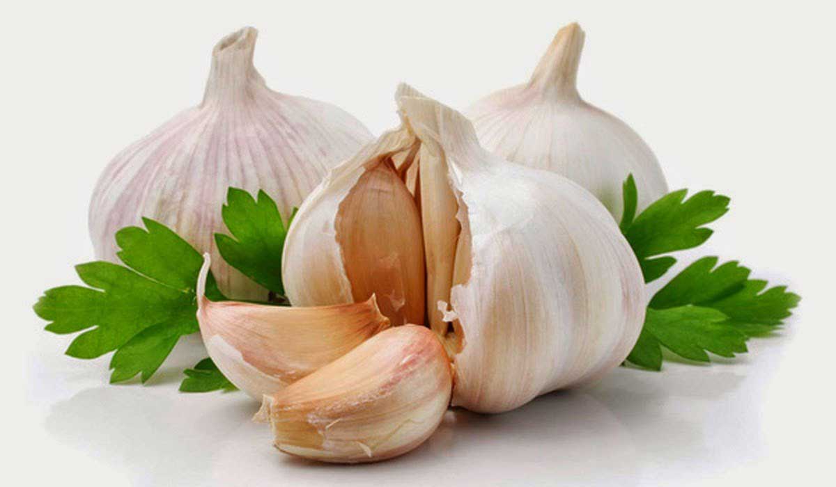 فوائد الثوم وكيفية استعماله 5 فوائد الثوم وكيفية استعماله