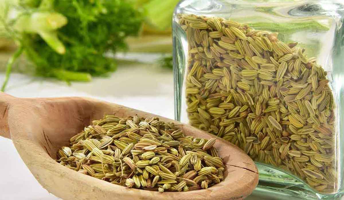 فوائد الشمر للكرش 15 فوائد الشمر للكرش