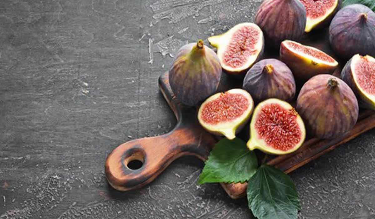 فوائد ومضار التين