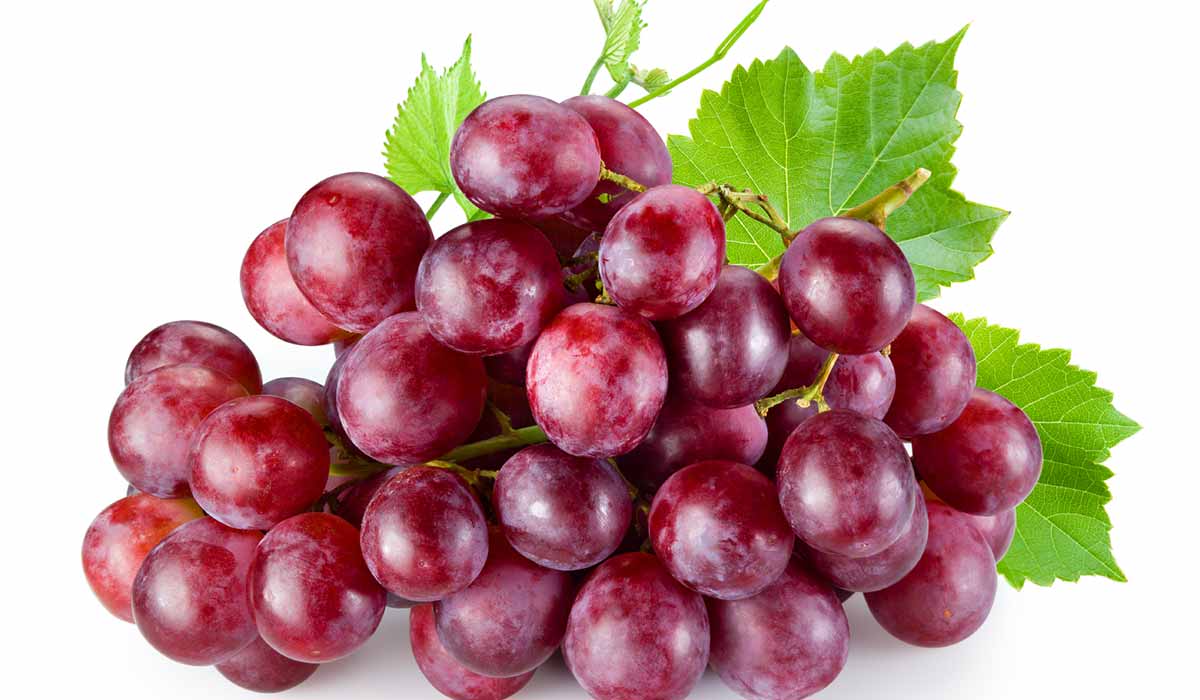 ما هي فوائد العنب الأحمر