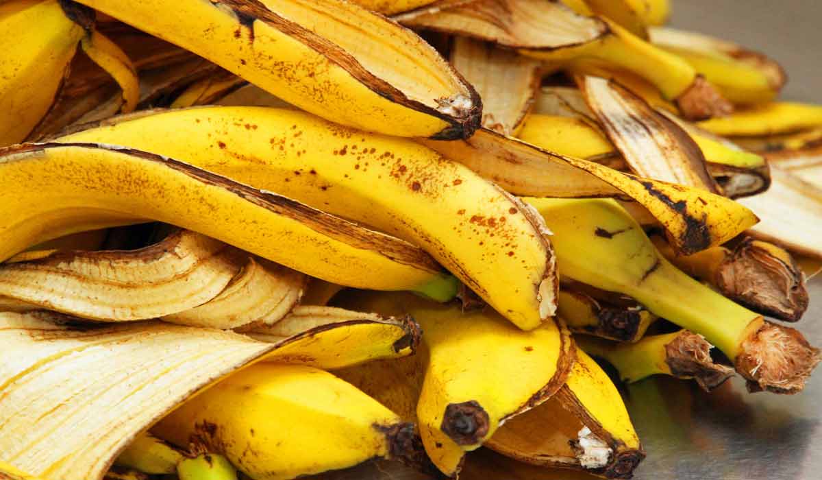 ما هي فوائد قشر الموز