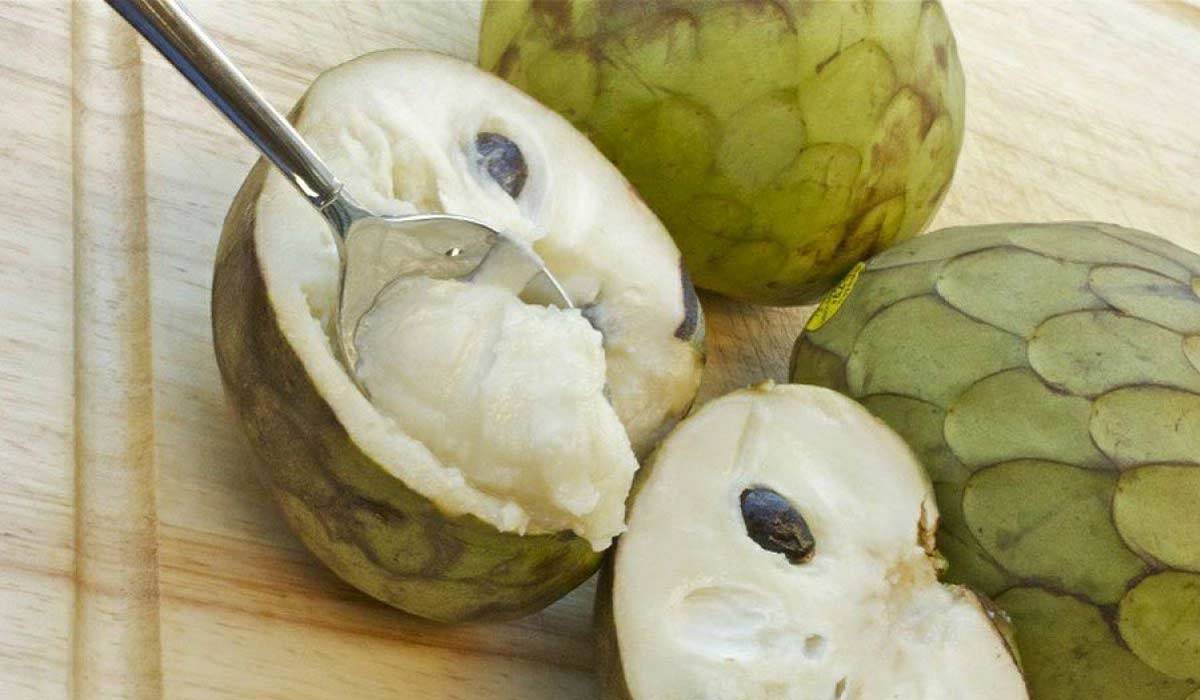 فوائد فاكهة الشيريمويا الشرقية توداي
