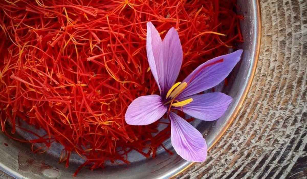أنواع الزعفران 19 أنواع الزعفران
