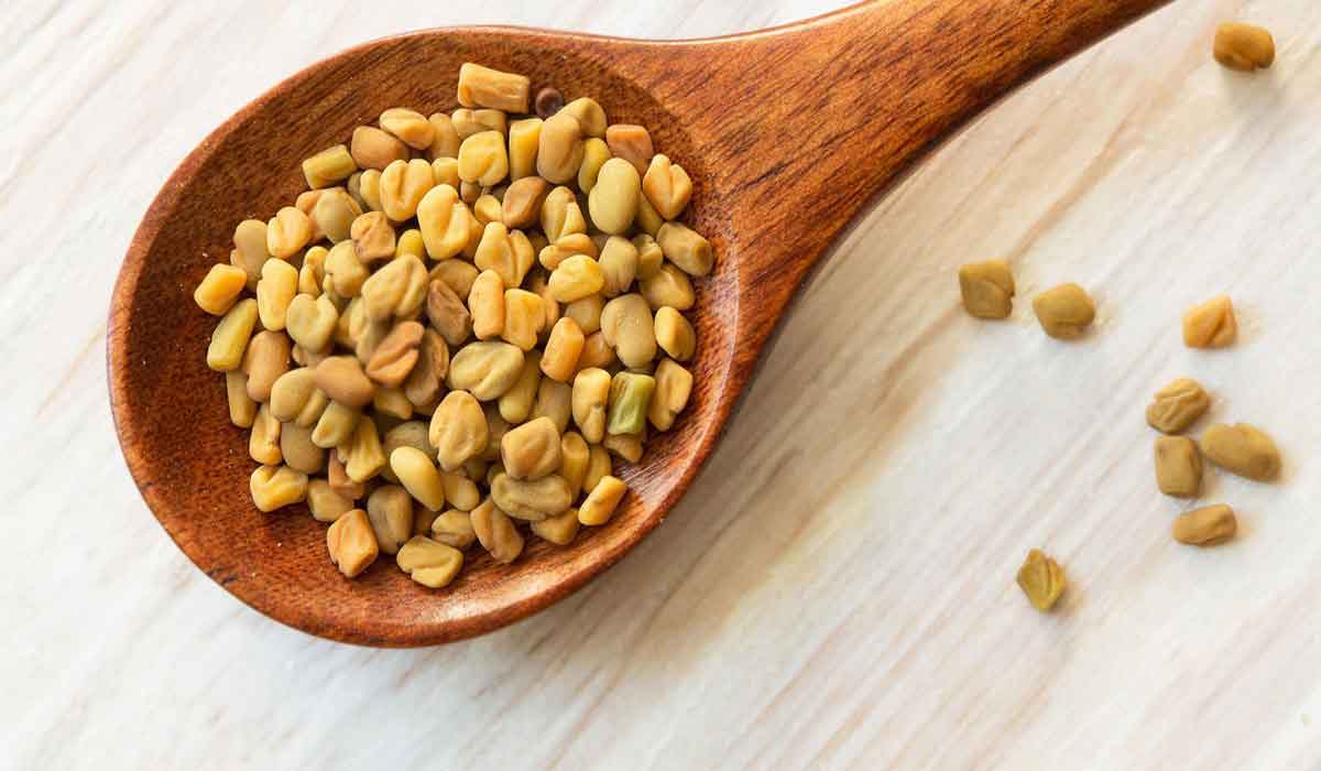 طرق استخدام الحلبة 5 طرق استخدام الحلبة