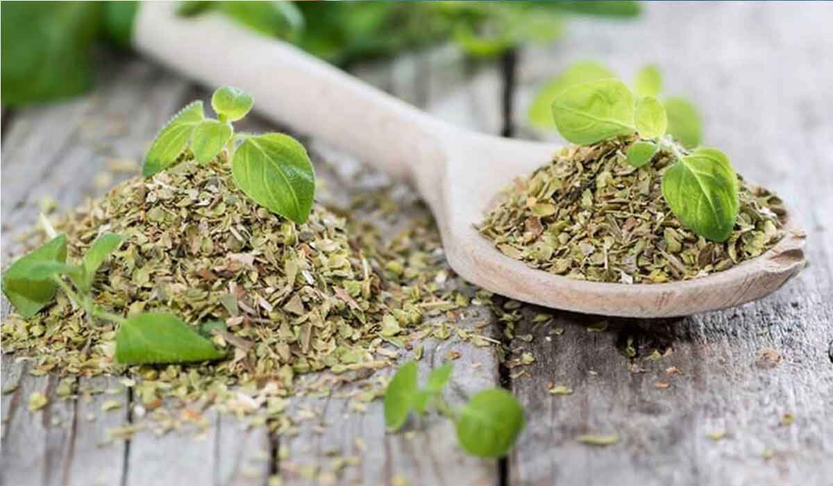 عشبة المرمرية