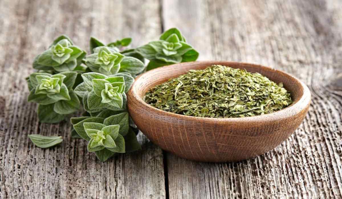 فائدة المرمية والبردقوش