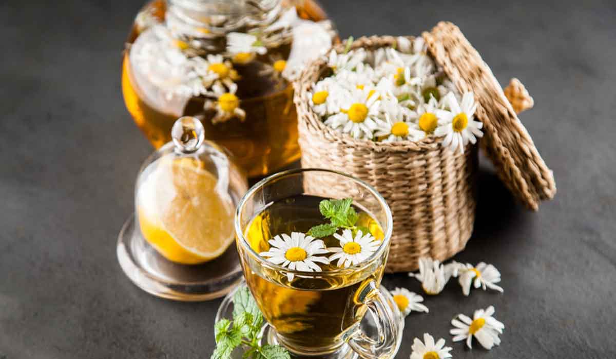 فائدة نبات البابونج
