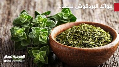ما فوائد البردقوش للنساء و 9 حلول لعلاج مشاكل الجهاز الهضمي 19 فوائد البردقوش للنساء