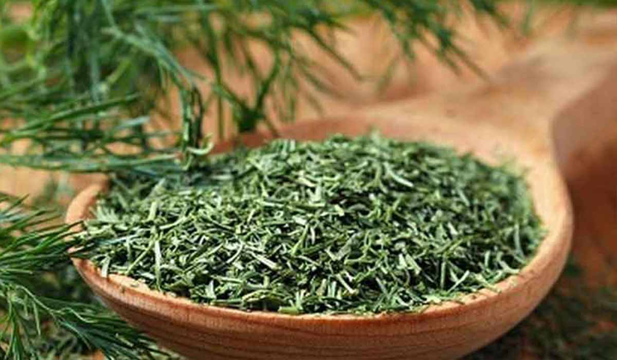 فوائد الشمر وبذرة الشبت 15 فوائد الشمر وبذرة الشبت