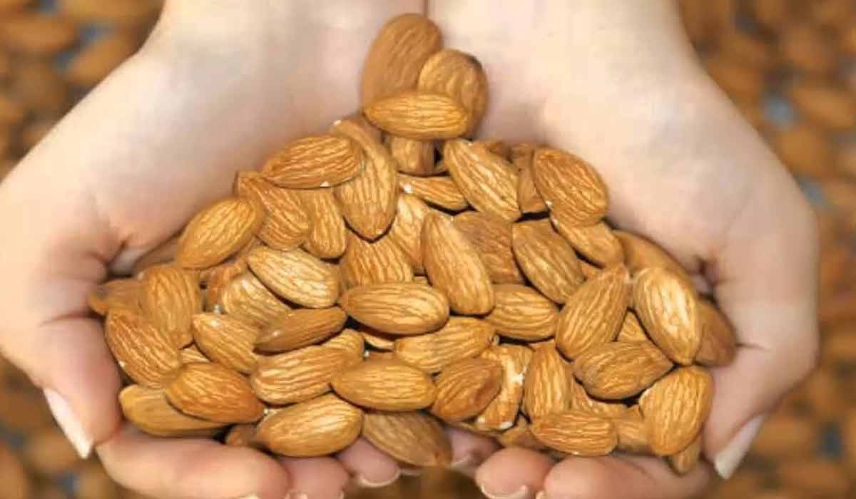 فوائد اللوز البجلي