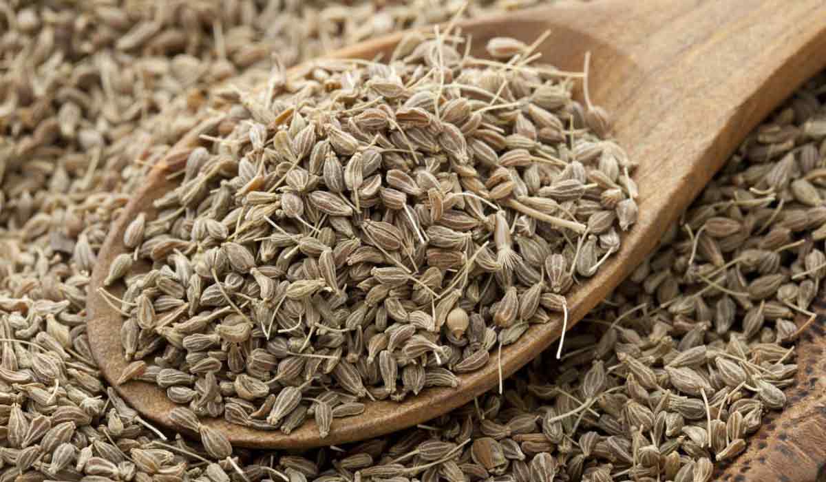فوائد اليانسون للرجال