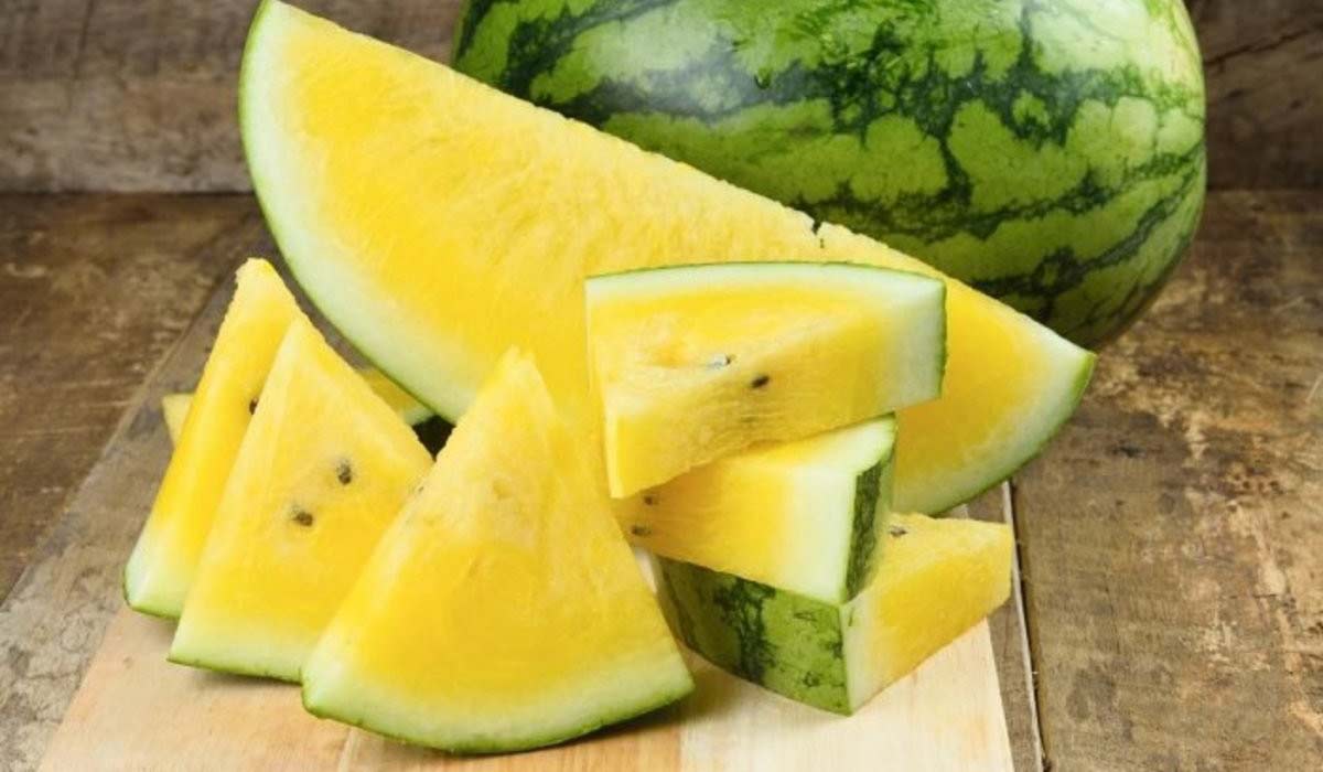 فوائد بذور البطيخ الأصفر