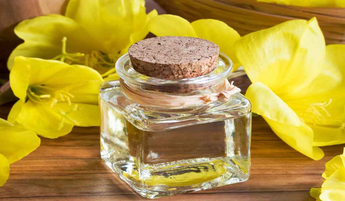 فوائد زهرة الربيع المسائية 17 فوائد زهرة الربيع المسائية