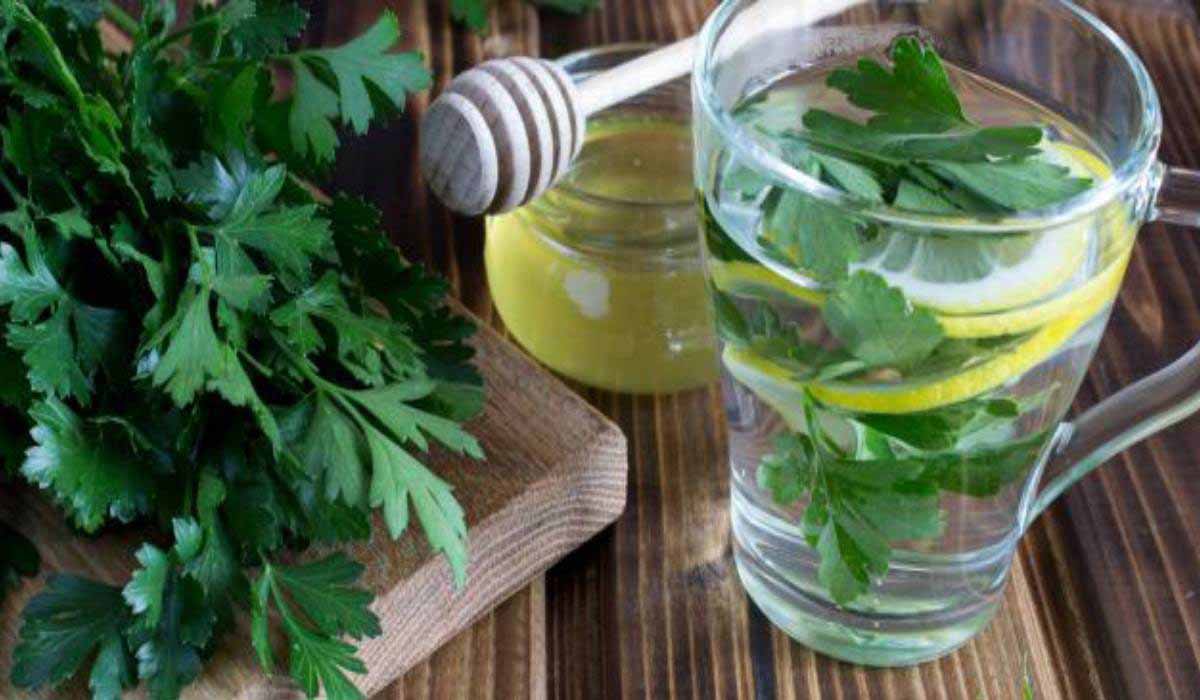 فوائد شرب البقدونس على الريق