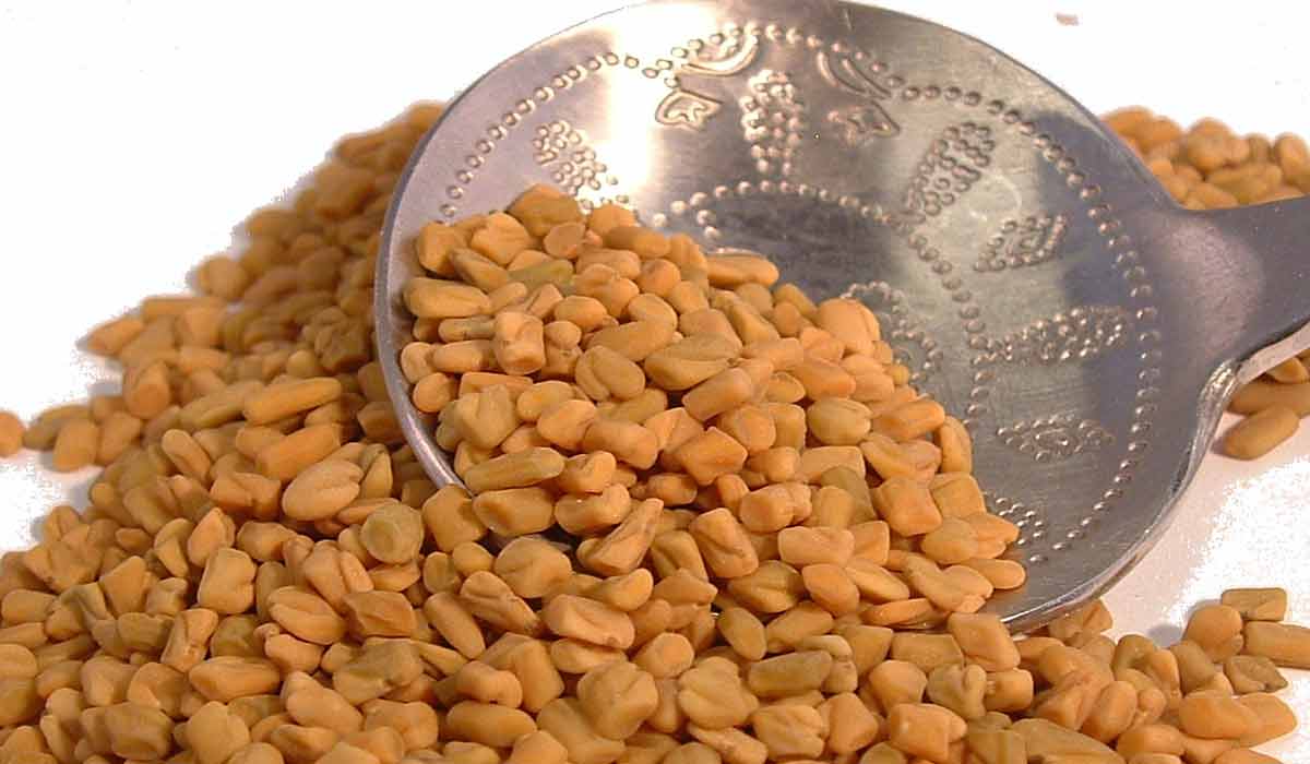 فوائد عشبة الحلبة