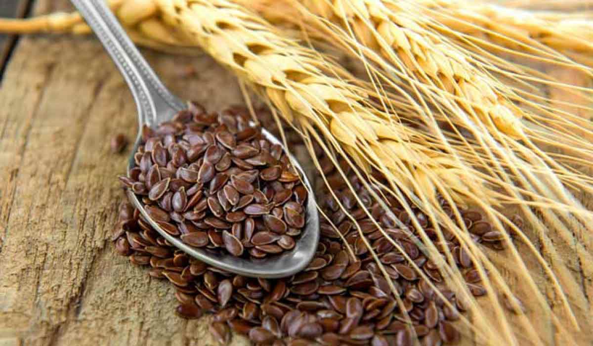 فوائد عشبة زريعة الكتان 15 فوائد عشبة زريعة الكتان