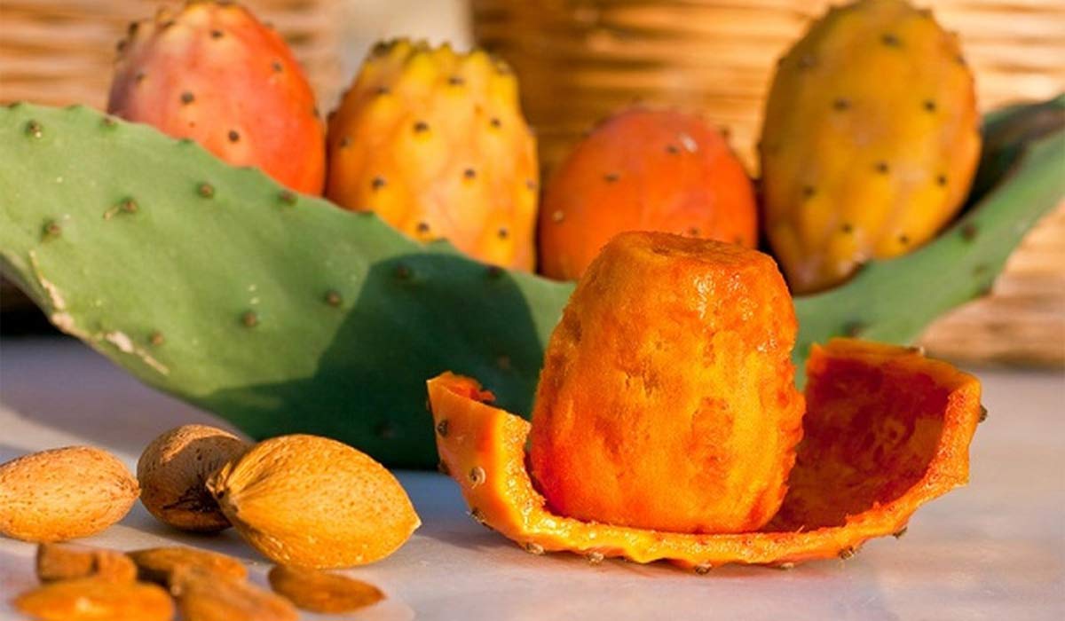 ما هي فوائد الصبارة 17 ما هي فوائد الصبارة